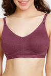 Rosaline Cyber Grove Everyday Double Layered Non Wired 3/4th Coverage T-Shirt Bra (Pack of 2) - Multicolor — thumbnail 5